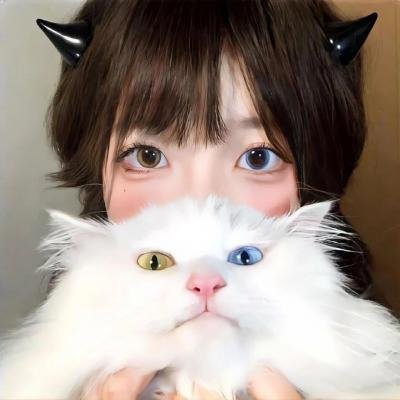 舰队收藏